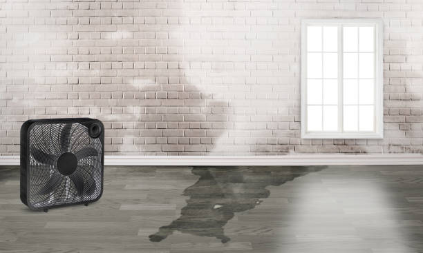 Local water damage restoration in Bonners Ferry, ID