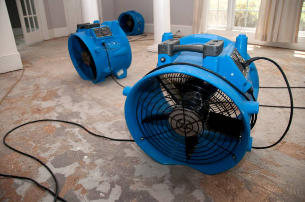 Carpet water damage restoration in Bonners Ferry, ID