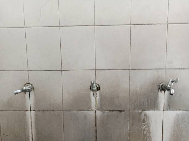 Water damage restoration mold remediation in Bonners Ferry, ID
