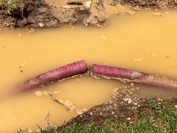 Best Flood restoration services  in Bonners Ferry, ID